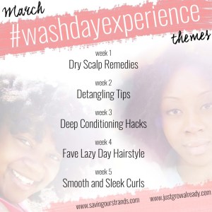 March-WashDayExperience-Link-Up-Themes